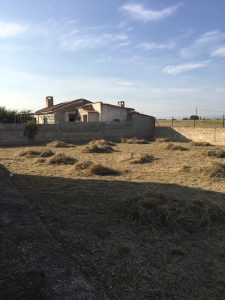 Desbroce y limpieza de parcela en Zaragoza provincia